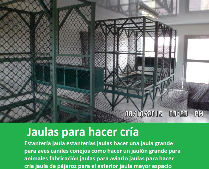 Estantería jaula estanterías jaulas hacer una jaula grande para aves caniles conejos como hacer un jaulón grande para animales fabricación jaulas para aviario jaulas para hacer cría jaula de pájaros para el exterior jaula mayor espacio 213 546 879 0 Estantería jaula estanterías jaulas hacer una jaula grande para aves caniles conejos como hacer un jaulón grande para animales fabricación jaulas para aviario jaulas para hacer cría jaula de pájaros para el exterior jaula mayor espacio 0123456789 Estantería jaula estanterías jaulas hacer una jaula grande para aves caniles conejos como hacer un jaulón grande para animales fabricación jaulas para aviario jaulas para hacer cría jaula de pájaros para el exterior jaula mayor espacio 0 1 2 3 4 5 6 7 8 9 